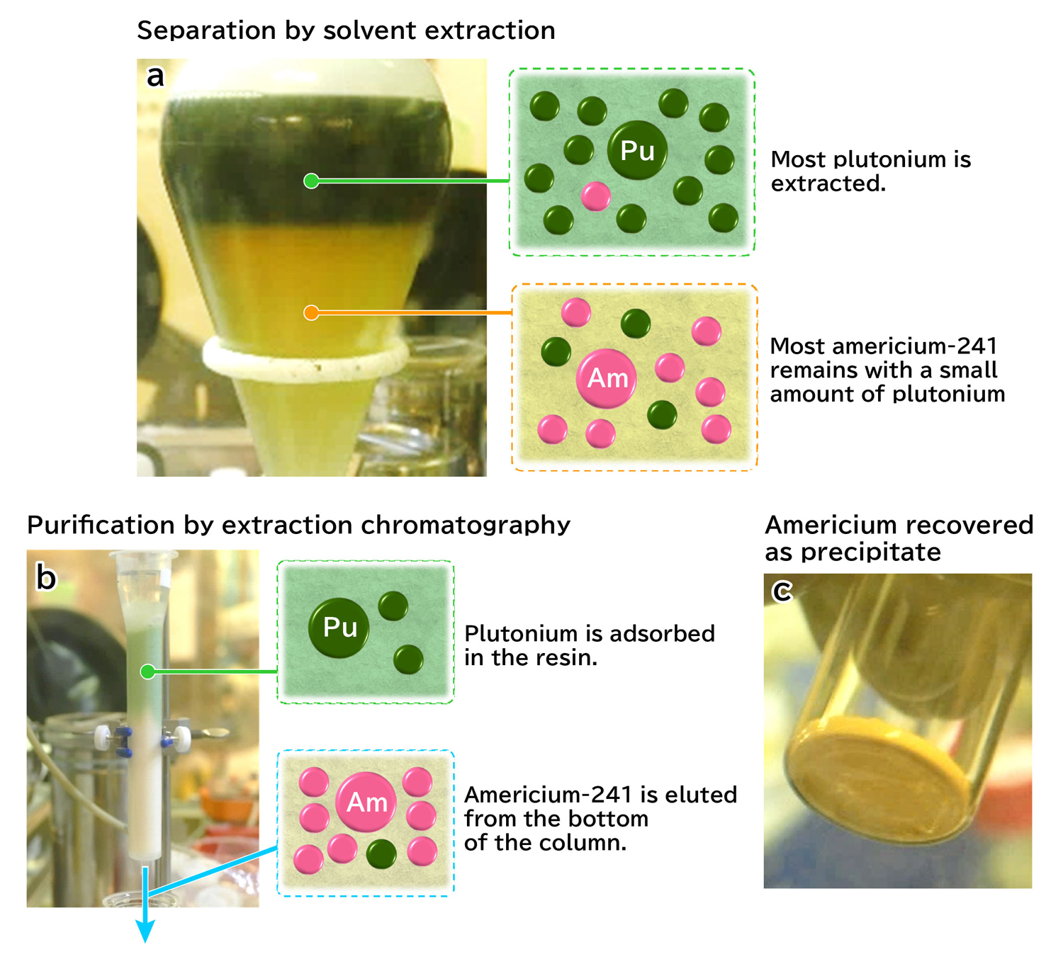 Fig. 1&ensp; Separation by solvent extraction (a), purification by extraction chromatography (b), and americium recovered as precipitation (c)