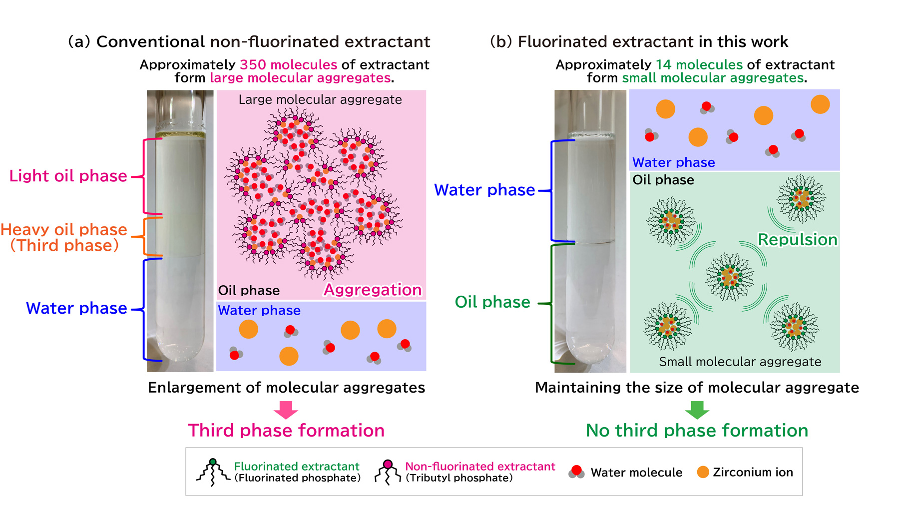 Fig. 1 Third-phase formation behavior and nanoscale structure of (a) a non-fluorinated extractant, and (b) a fluorinated extractant