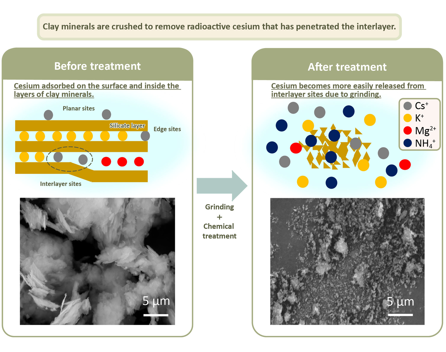 Fig. 1 Adsorption of radioactive cesium on clay minerals and a mechanochemical desorption model (top), and SEM images of clay minerals before and after mechanochemical treatment (bottom)