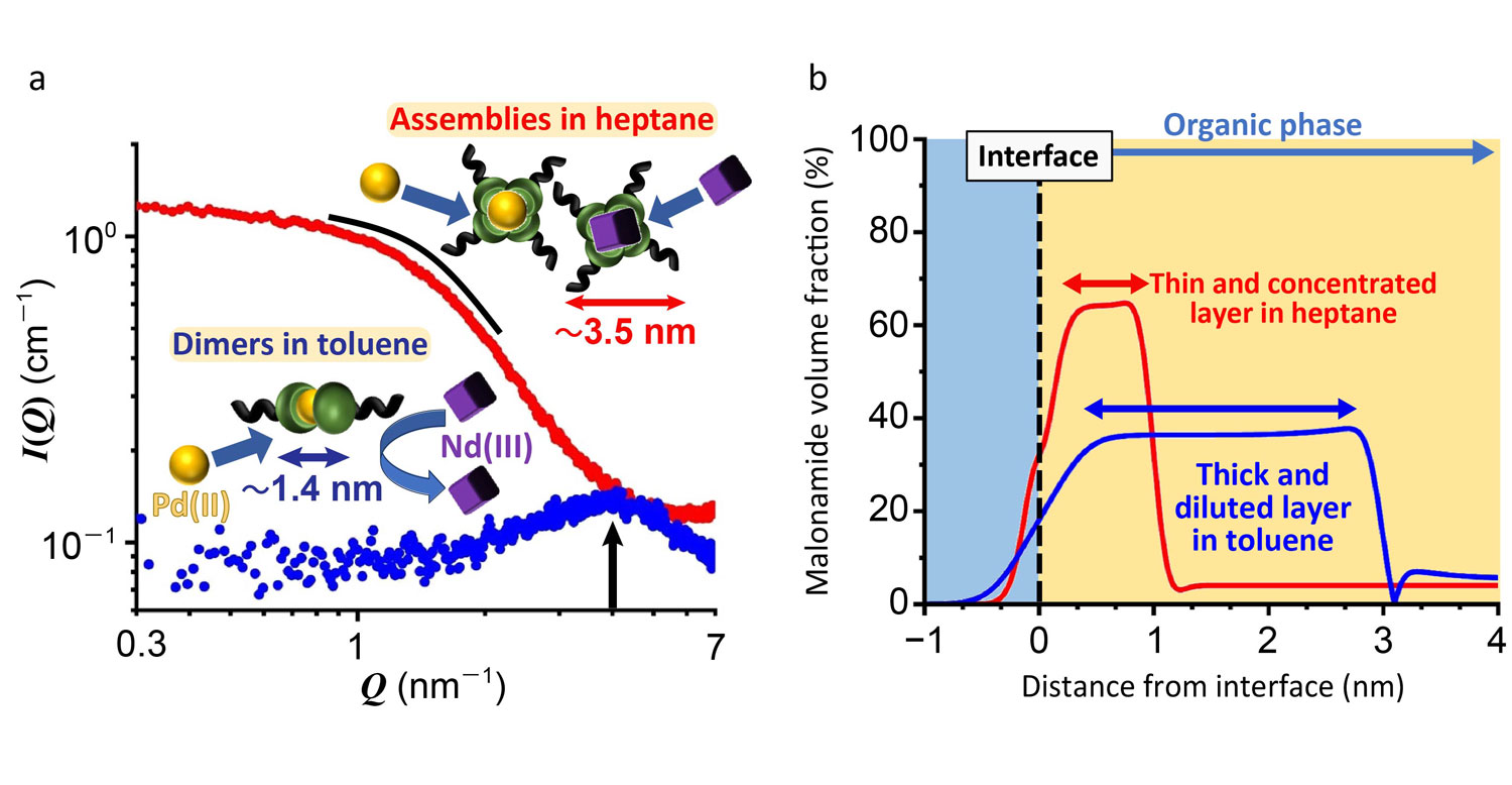 Fig. 1 (a) Small-angle X-ray scattering (SAXS) reveals an assembly size recognition effect that affect selectivity, and (b) Neutron reflectometry (NR) reveals an interfacial accumulation effect which affects the extraction raten