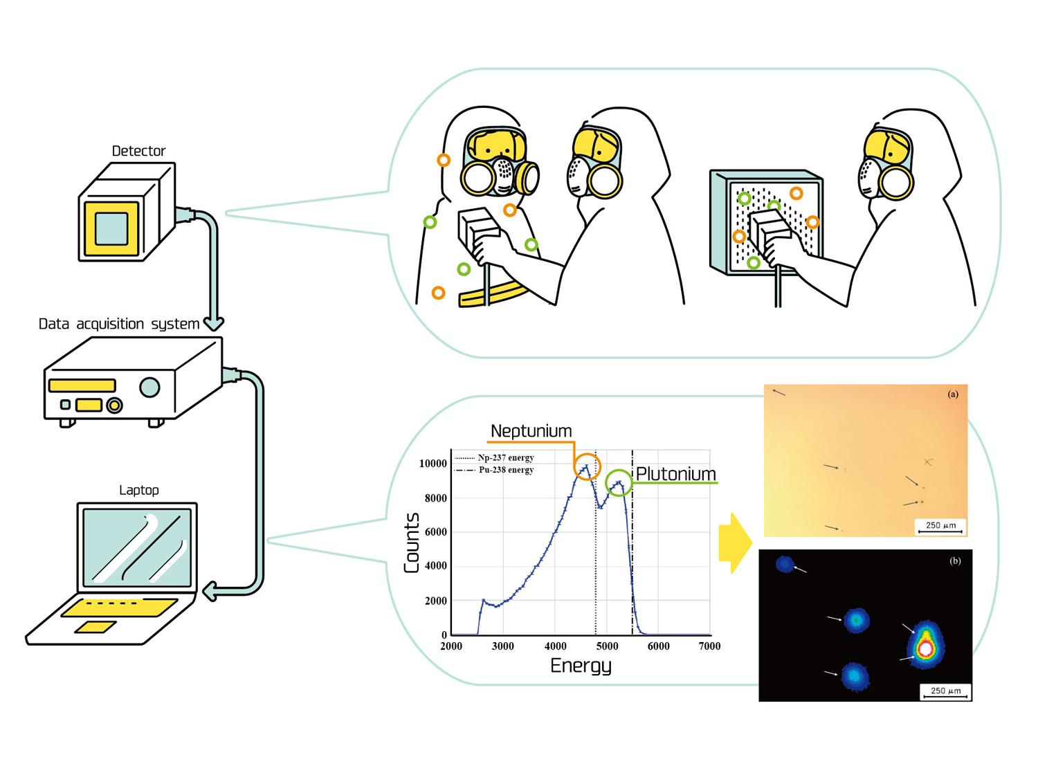 Fig. 1&emsp;Overview of the High-Performance Alpha Imaging Detector