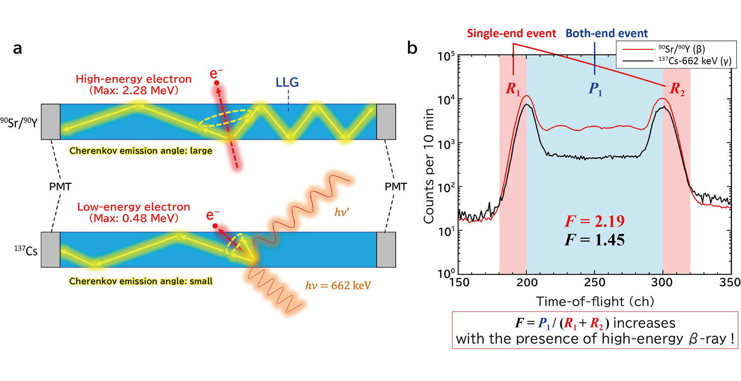 Fig.1 (a) Principle of <sup>90</sup>Sr/<sup>90</sup>Y detection using Cherenkov emission, (b) example of measurement results for <sup>90</sup>Sr/<sup>90</sup>Y and <sup>137</sup>Cs