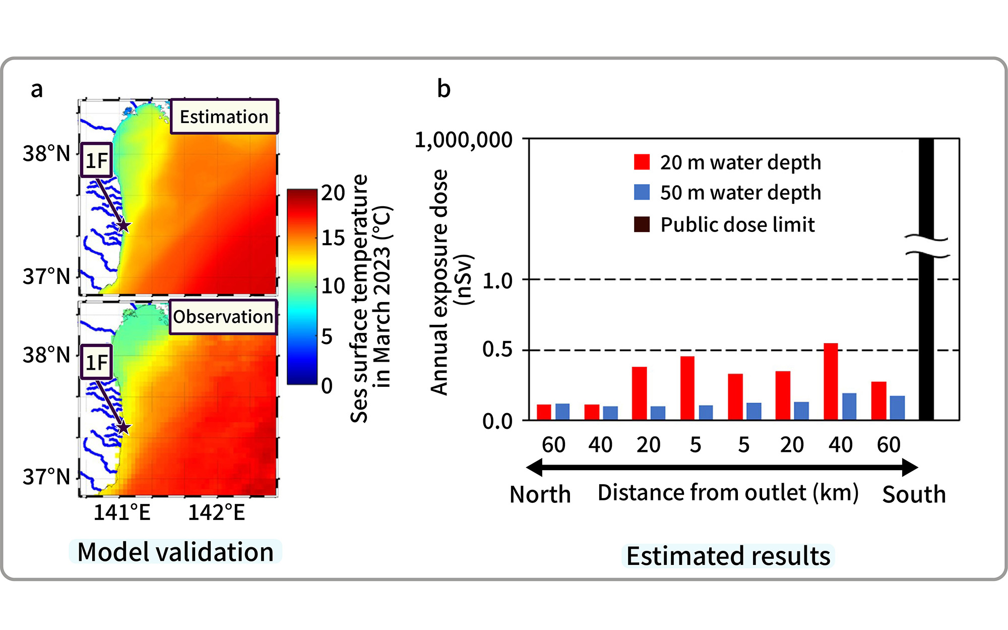 Fig. 1&emsp;Model validation (a) and model-estimated internal radiation dose estimated (b)