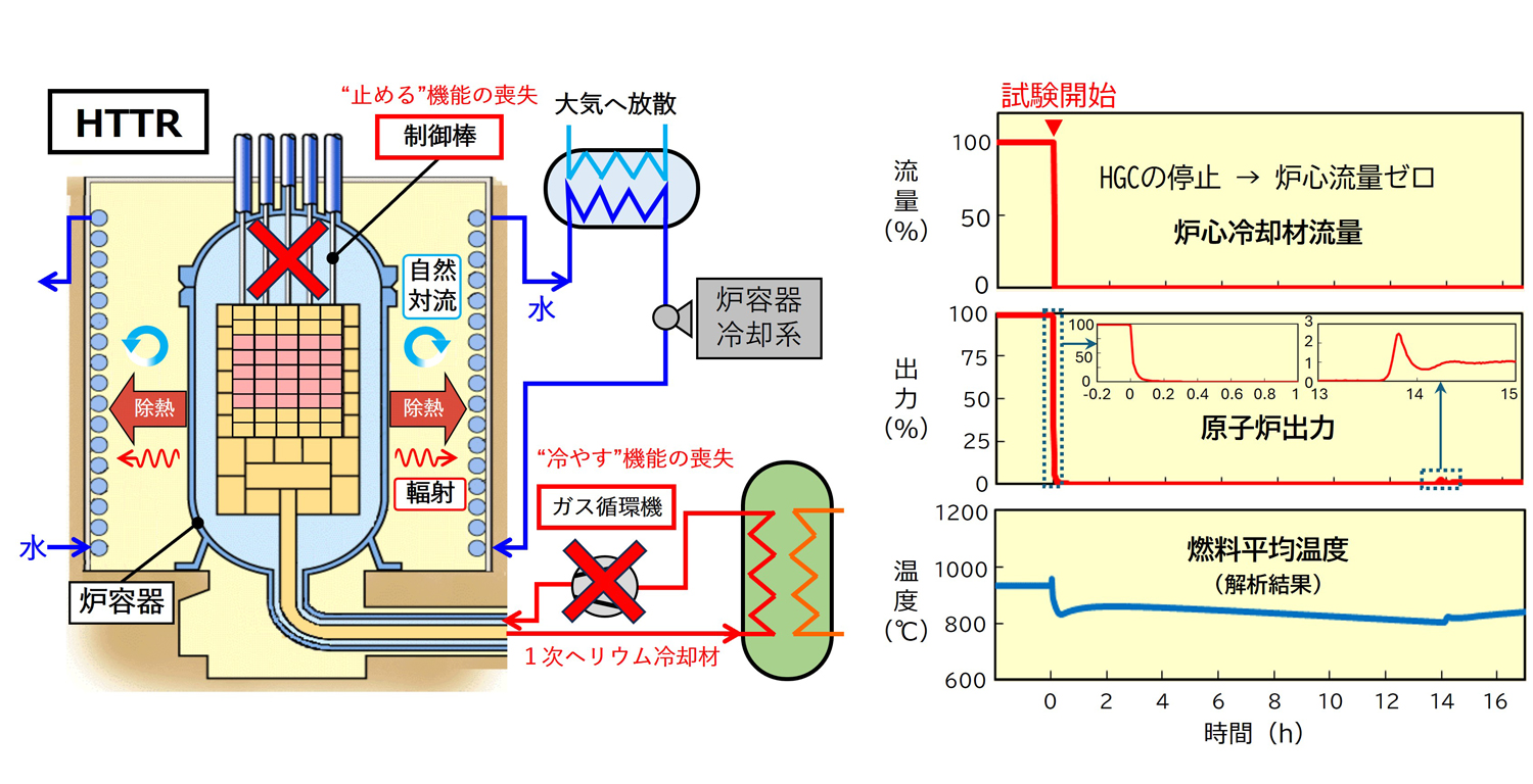 図1&emsp;安全性実証試験の概要及び試験結果
