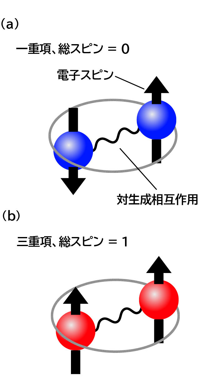 図1 超伝導を形成する電子対