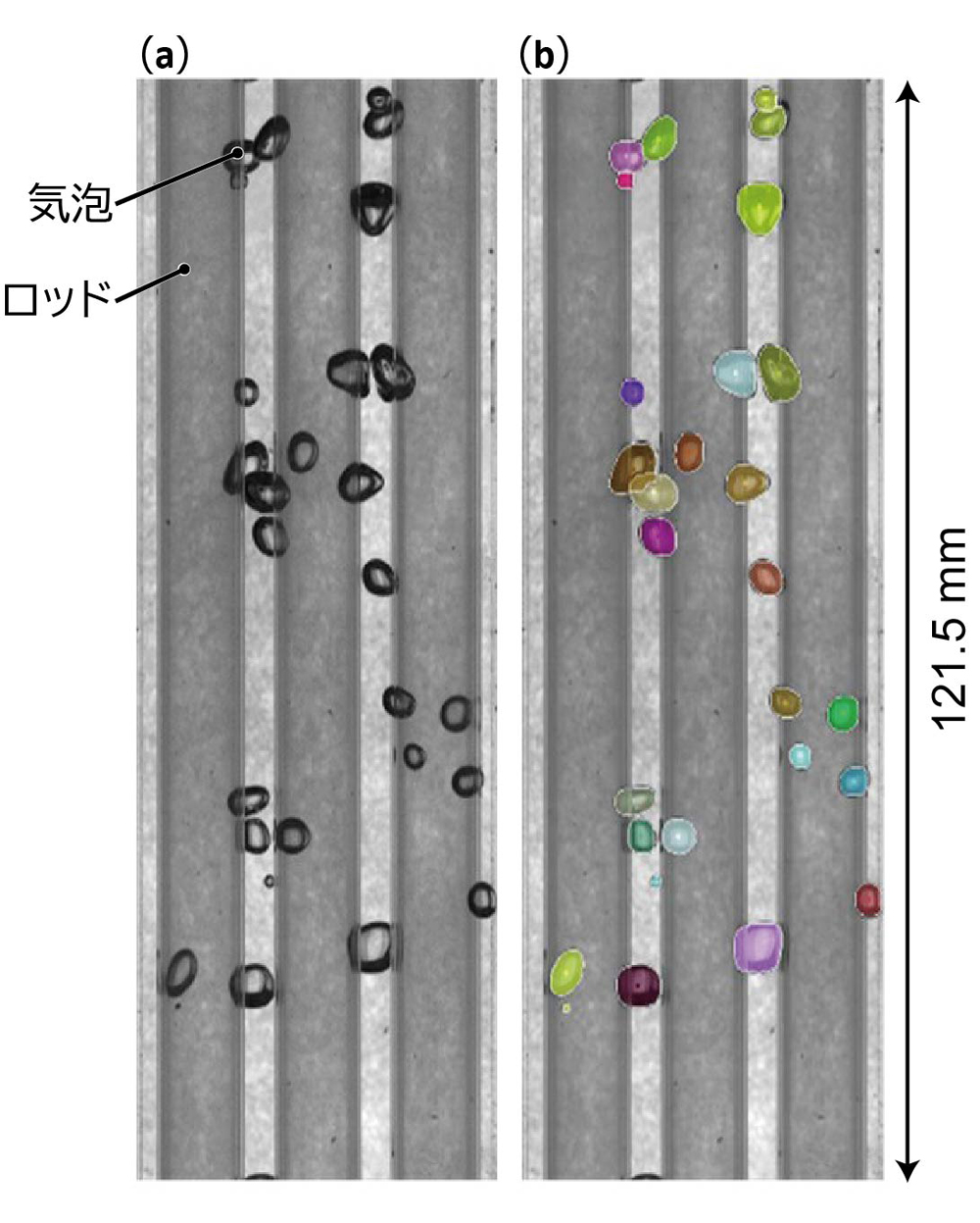 図1&emsp;ロッドバンドル流路内の可視化結果（a）と気泡検出結果（b）