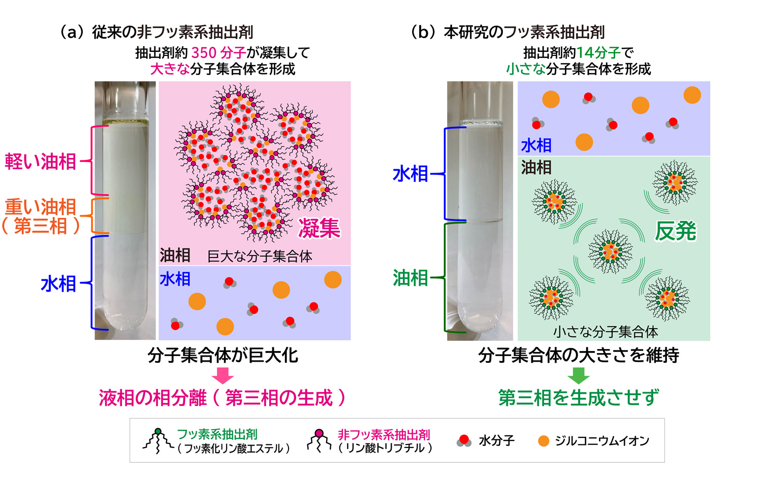 図1 (a)非フッ素系抽出剤と(b)フッ素系抽出剤の第三相生成挙動とナノスケール構造の違い