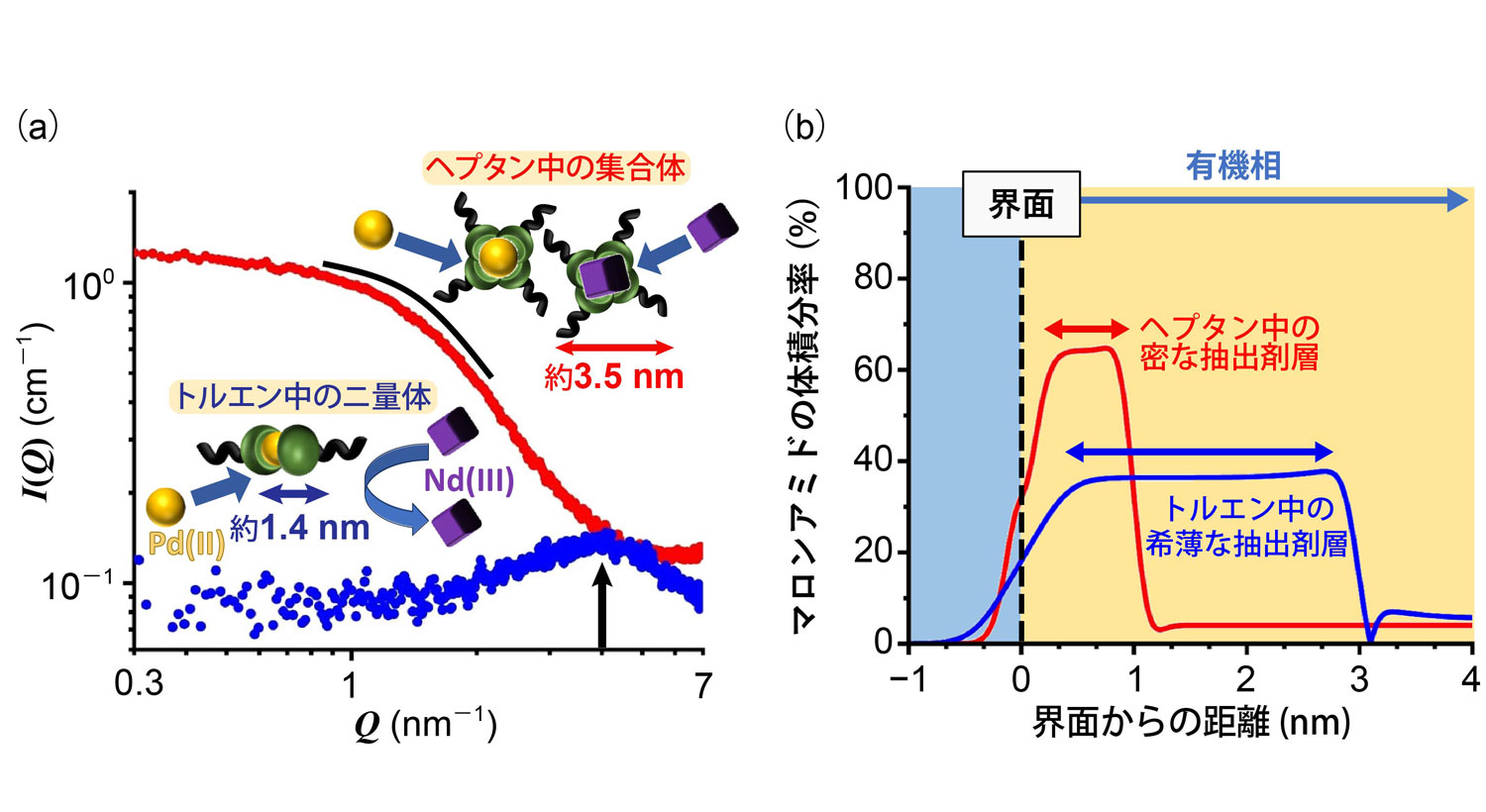 図1&emsp;a）小角X線散乱（SAXS）により明らかにした抽出剤の構造化が及ぼす選択性への影響、（b）中性子反射率法（NR）により明らかにした抽出速度への影響
