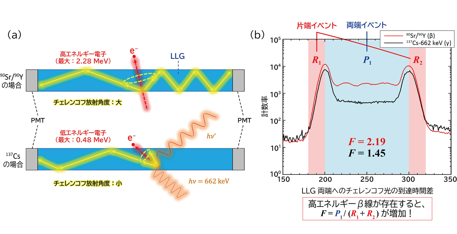 図1&emsp;（a）チェレンコフ発光を用いた<sup>90</sup>Sr/<sup>90</sup>Y測定原理、（b）<sup>90</sup>Sr/<sup>90</sup>Yと137Csを測定した結果の例