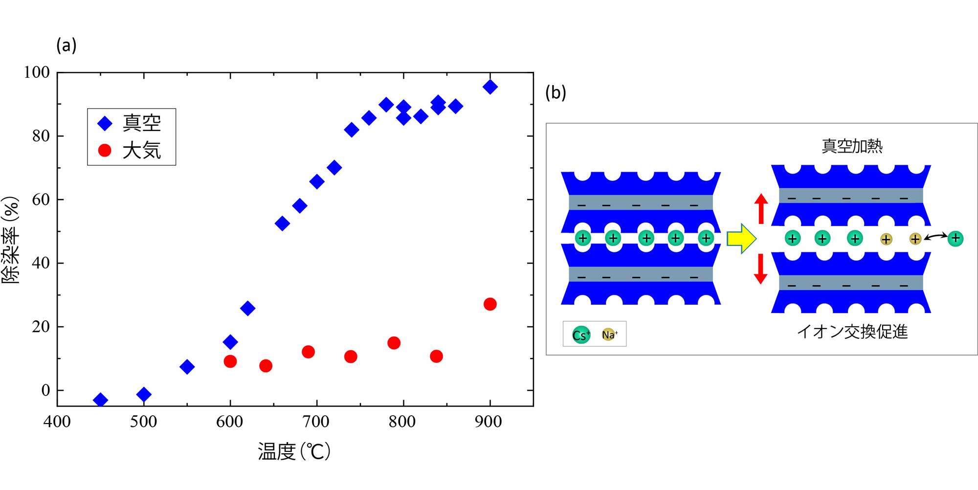 図1&emsp;（a）真空・大気中における除染率の比較と（b）真空加熱によるNa+（黄色）↔Cs+（緑色）イオン交換の模式図