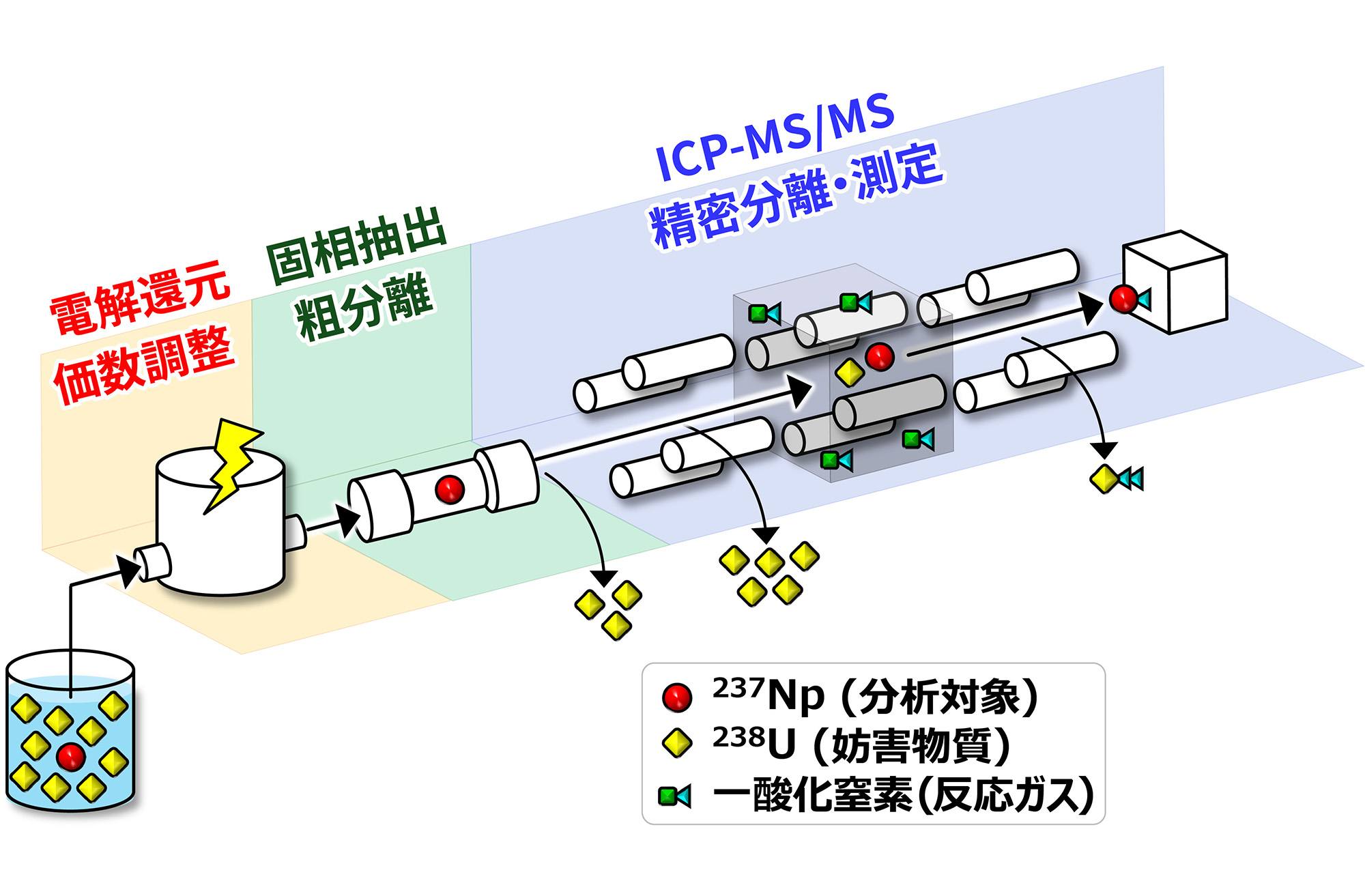 図1&emsp;開発した<sup>237</sup>Np自動分析システムの概念図