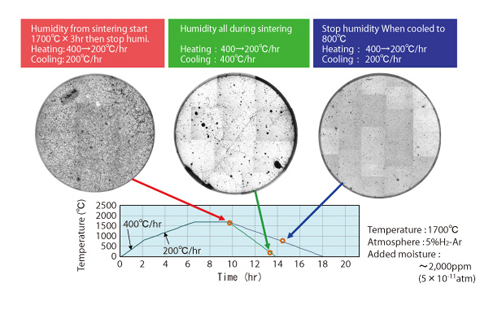 Fig.1-18 Optimization of the sintering condition for Am-MOX fuels