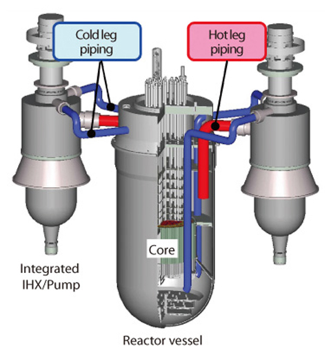 Fig.1-9 Schematic view of primary cooling system of JAEA sodium-cooled fast reactor (JSFR) 