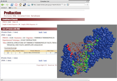 Fig.10-13 Database for RNA-protein complex structures