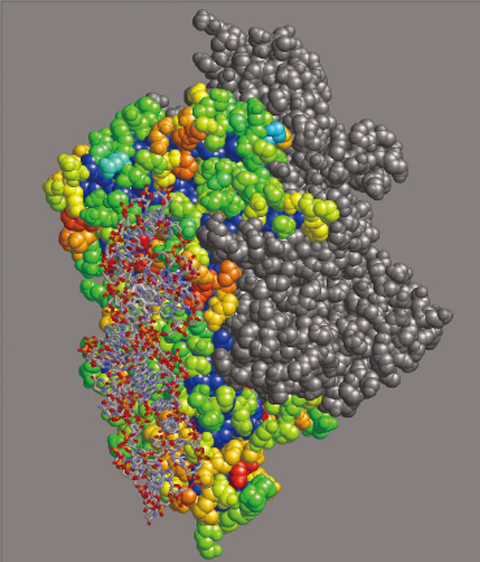 Fig.10-14 A result of RNA interface prediction