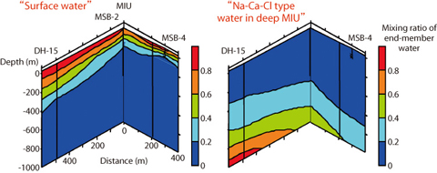 Fig.2-17 Mixing ratios of end-member water named "Surface water" and "High salinity Na-Ca-Cl water in deeper part of MIU" (Cross section of Fig.2-16).
