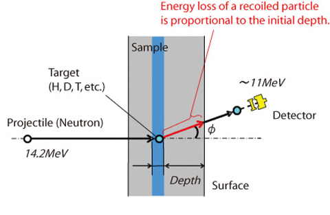 Fig.3-28 Principle of neutron elastic recoil detection analysis