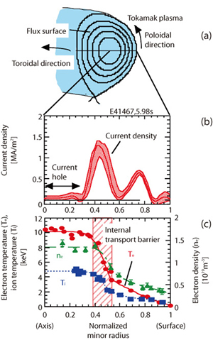 Fig.3-7 Current hole in tokamak plasma