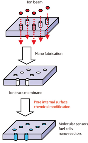 Fig.4-10 Creation of functional thin films using the chemical modification of the internal surfaces of nano-pores in ion track membranes