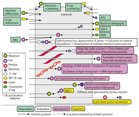 Fig.4-2 Interactions between quantum beam and material, and their applications 