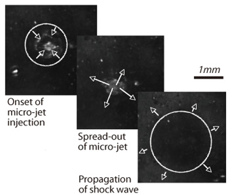 (a) Cavitation bubble collapse behavior