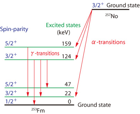 Fig.6-7 Quantum states in 257No and 253Fm