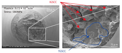 Fig.7-13  Fracture surface of a crack initiation test specimen after out-of-pile test 