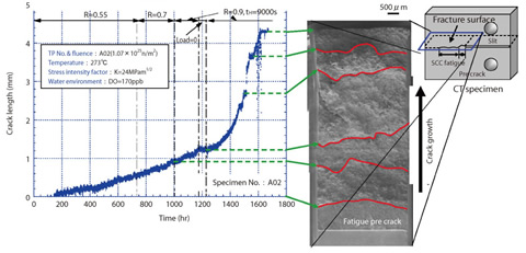 Fig.7-14 Measurement of crack length on in-pile crack growth test and fracture surface of specimen 