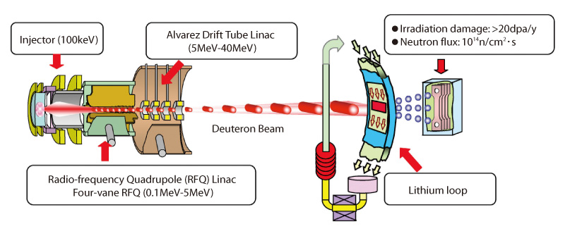 Fig.3-30 Configuration of International Fusion Materials Irradiation Facility (IFMIF)