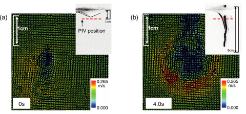 Fig.1-15 Velocity field and shape of free surface obtained by the laser measurements