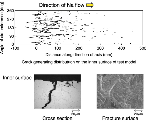 Fig.1-21 Fatigue damage observation after 160,000cycles at frequency 0.05Hz