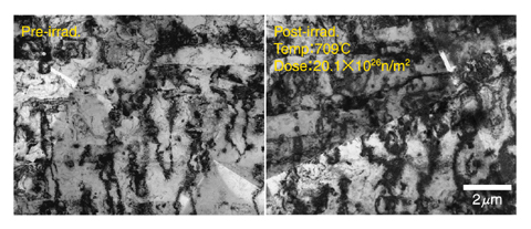 Fig.1-5 A comparison of microstructure between pre- and post-irradiated ODS steels