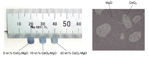 Fig.1-9 Appearance and microstructure of the advanced oxide fuel