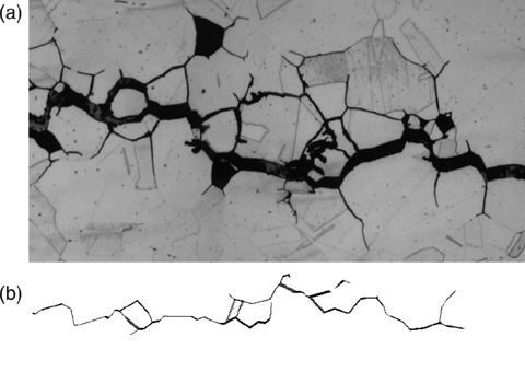 Fig.10-2 Intricate crack shape typical of stress corrosion cracking