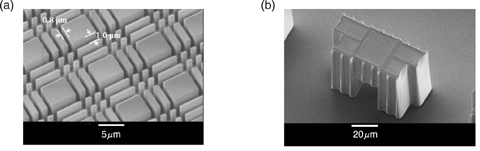 Fig.12-20 Fine polymer structures fabricated of a polymer using PBW