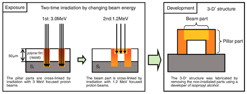 Fig.12-21 Fabrication process for 3-D polymer structure (negative resist; non-irradiated parts are removed)