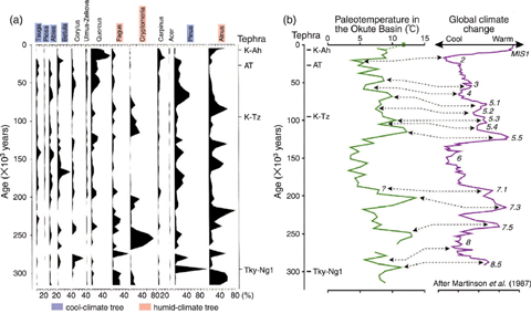 Fig.2-13 Pollen composition in the Okute Basin core boring and the past temperature reconstructed by pollen analysis