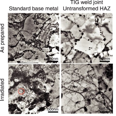 Fig.3-16 TEM microstructure of base metal and untransformed TIG-HAZ region before and after irradiation.