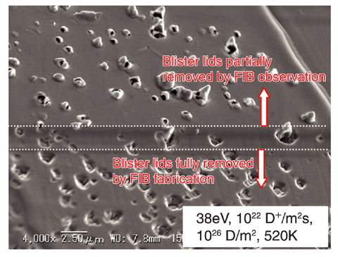 Fig.3-23 Internal features of small blisters