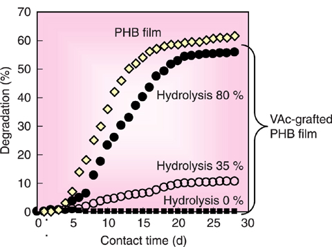 Fig.4-22 Effect of hydrolysis on biodegradation of PHB film grafted by VAc