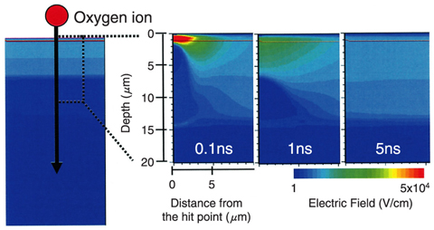 Fig.4-28 Cross sectional images indicating the transient electric field after a 100 MeV O ion hits