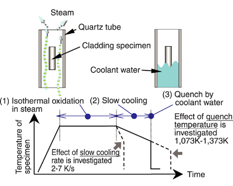 Fig.5-7 Oxidation and quench test to simulate LOCA conditions