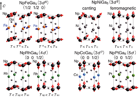 Fig.6-3 Variety of magnetic structures in NpTGa5