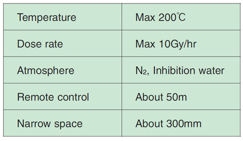 Table 1-1 Chief inspection conditions