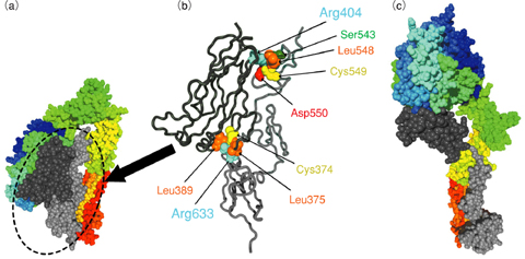 Fig.12-6