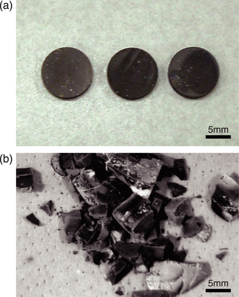 Appearance of (a) Irradiated 11B4C and (b) 10B4C at around 500°C