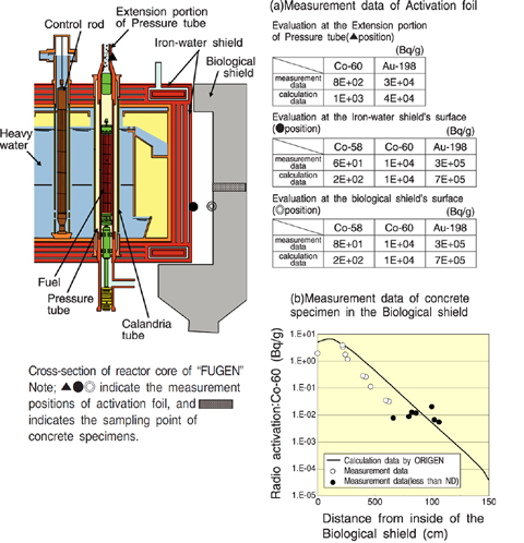 Fig.14-2 Comparison between calculated and measured radio-activation values