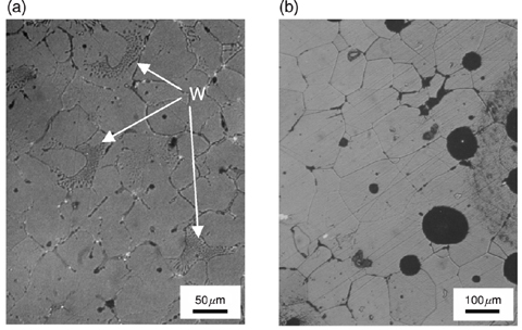 Fig.14-5 Microstructures of heated MOX with 40% Pu content