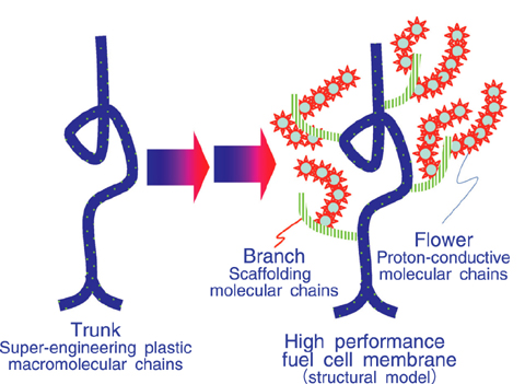 Fig.4-21 Schematic diagram for the development of high- performance fuel cell membranes by radiation grafting method