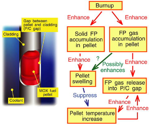 Fig.5-3 Burnup-induced phenomena in a fuel rod
